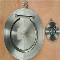 H74H对夹单瓣旋启式止回阀